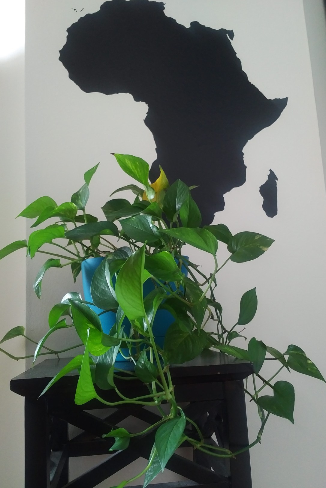 IMG_20170904_1443233