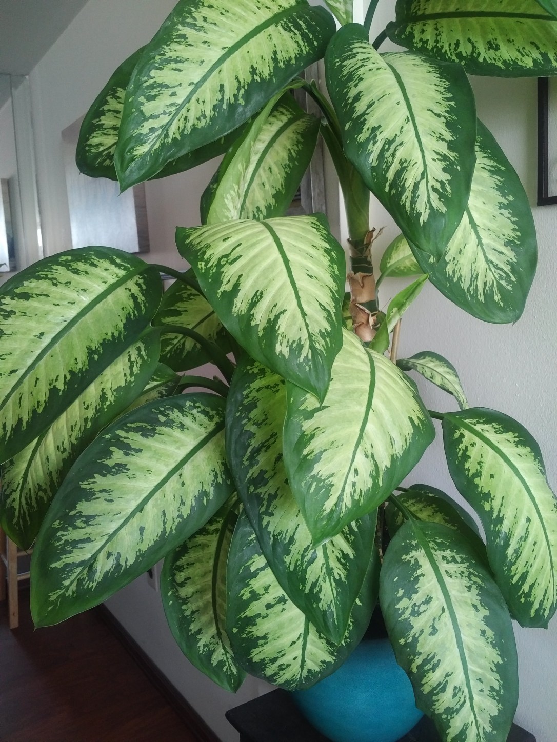 IMG_20170904_1443481