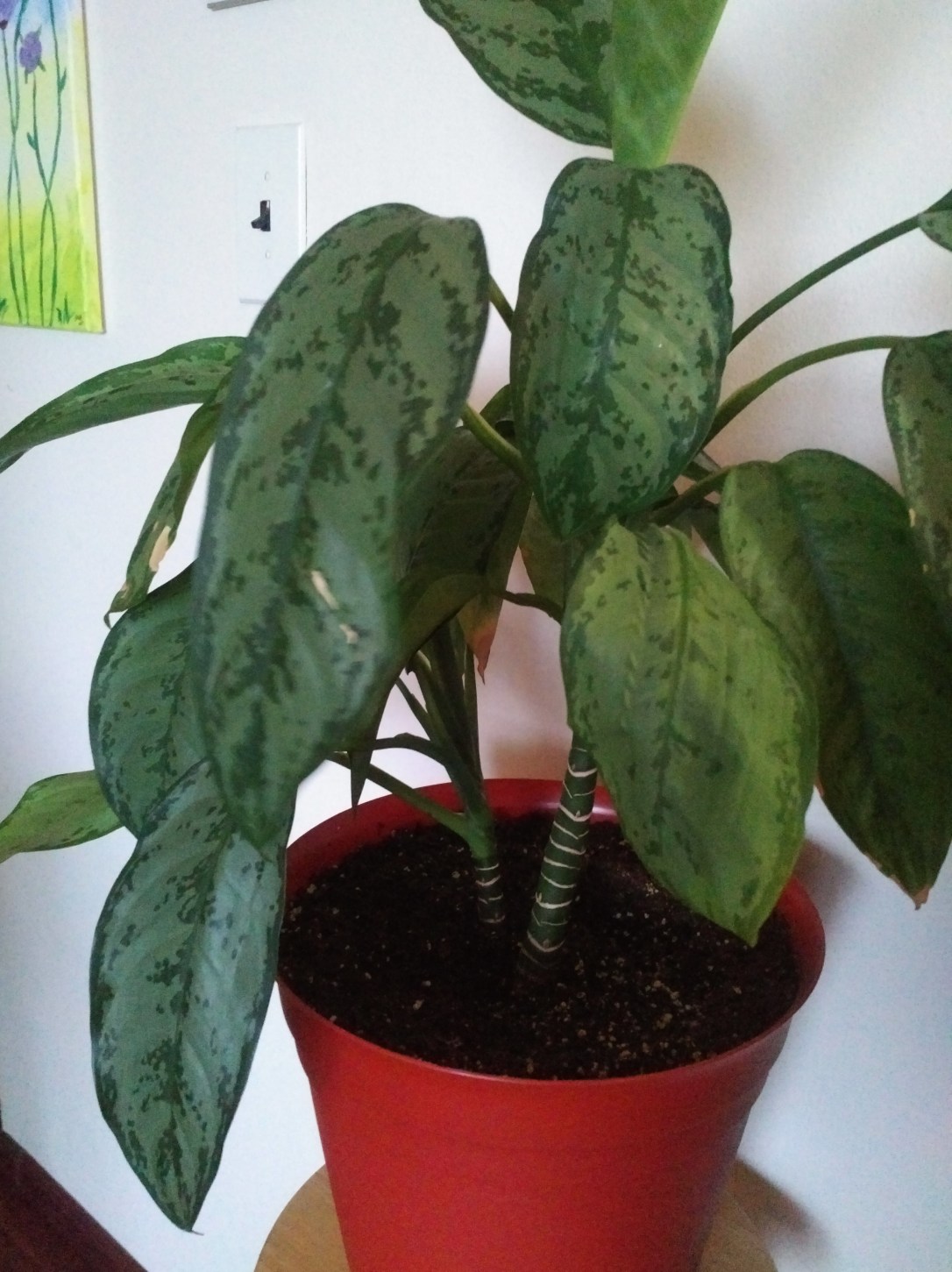 IMG_20170906_1720229